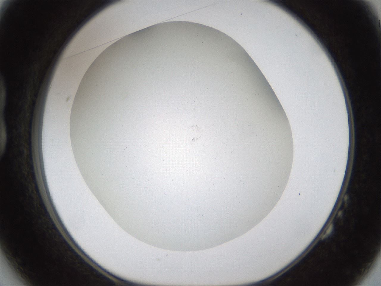 folderID214_plateID1214_batchID3545_wellNum14_profileID1_d1_r69562_ef.jpg