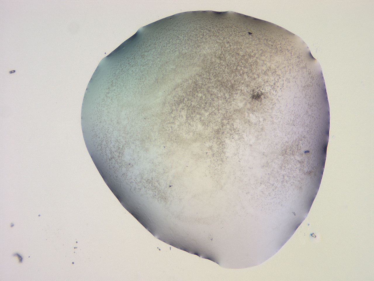 04ht_G10_ImagerDefaults_3.jpg