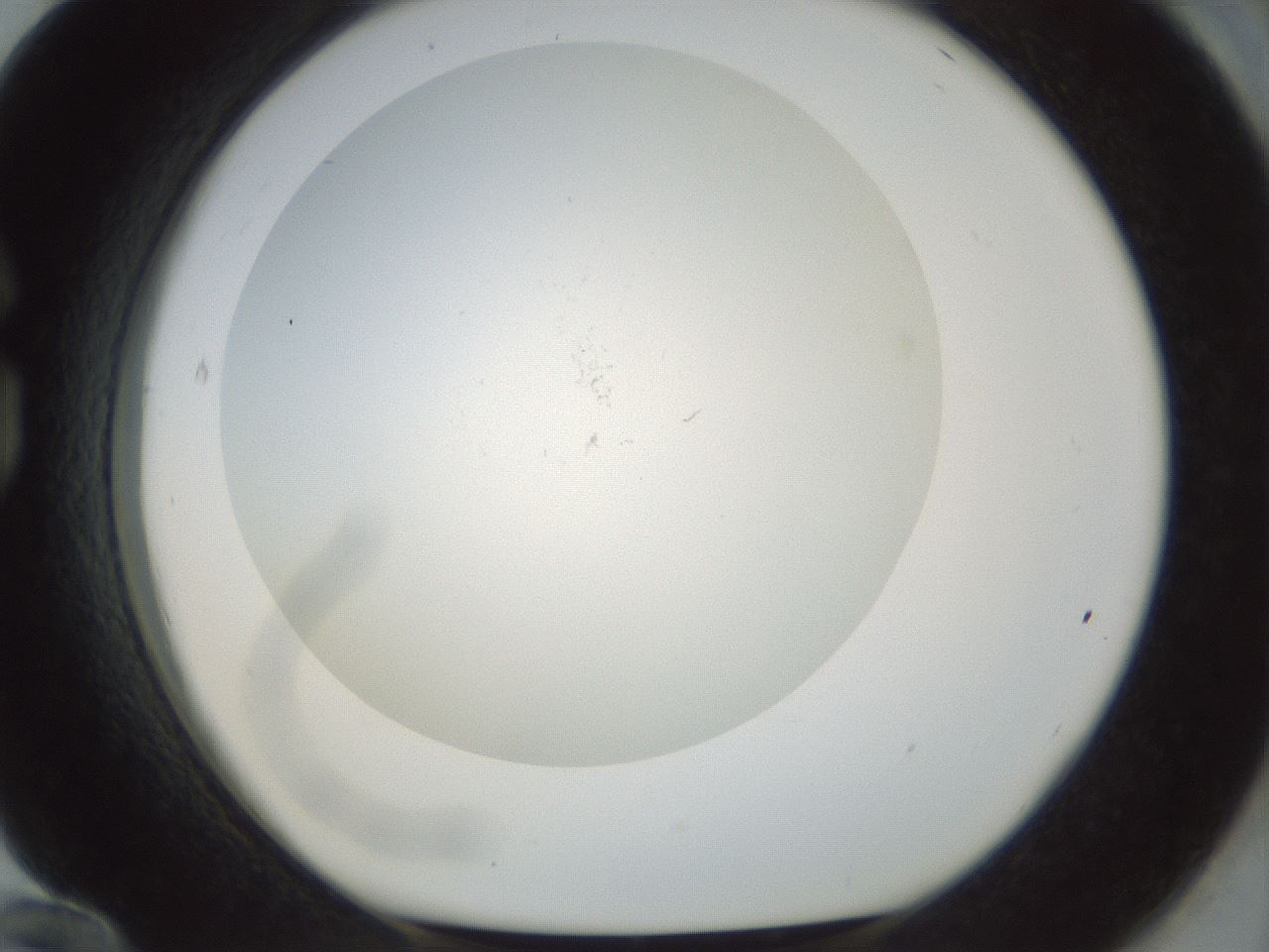 folderID208_plateID1208_batchID3560_wellNum84_profileID1_d1_r68742_ef.jpg