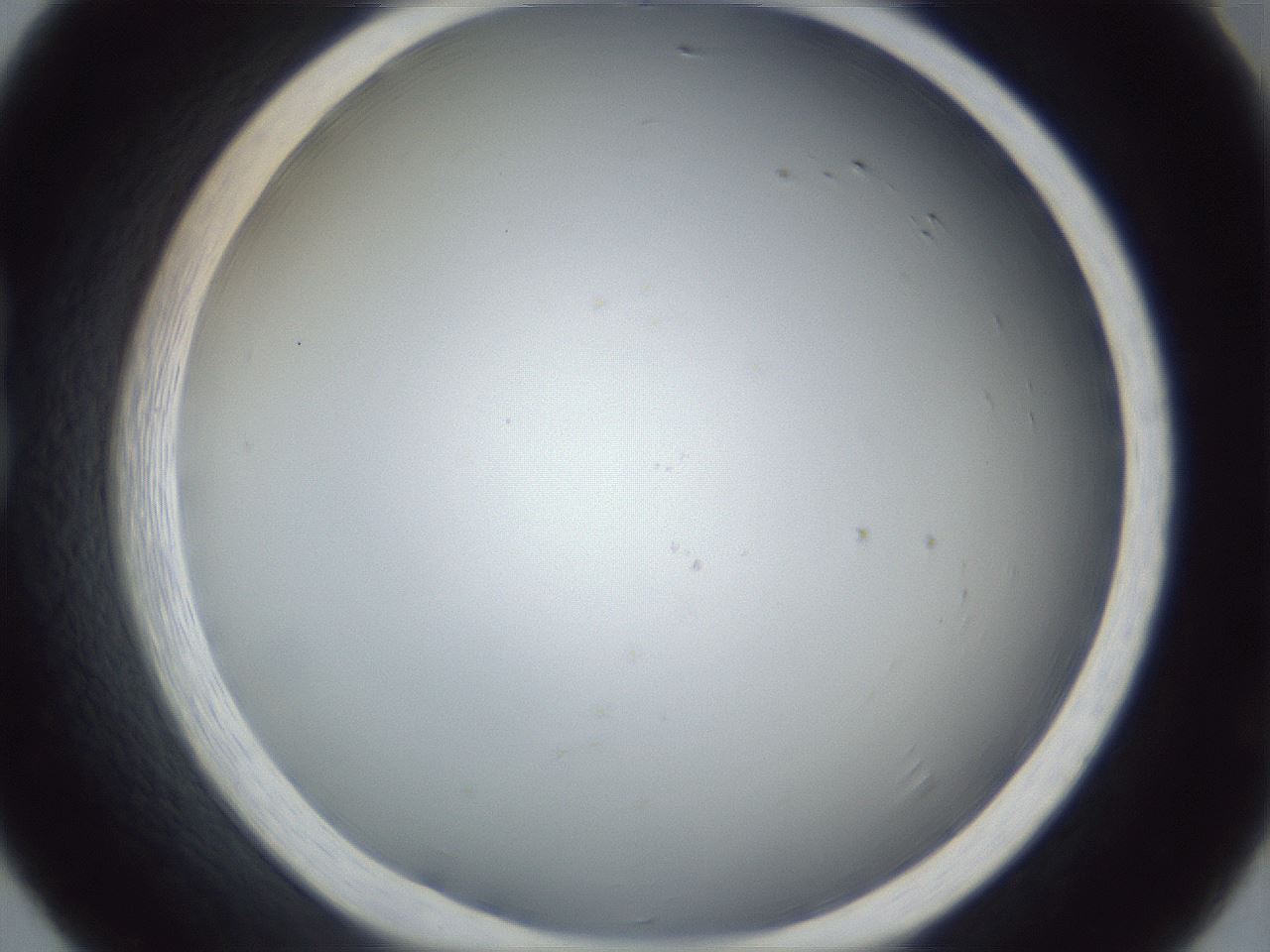 folderID215_plateID1215_batchID3848_wellNum20_profileID1_d1_r67174_ef.jpg