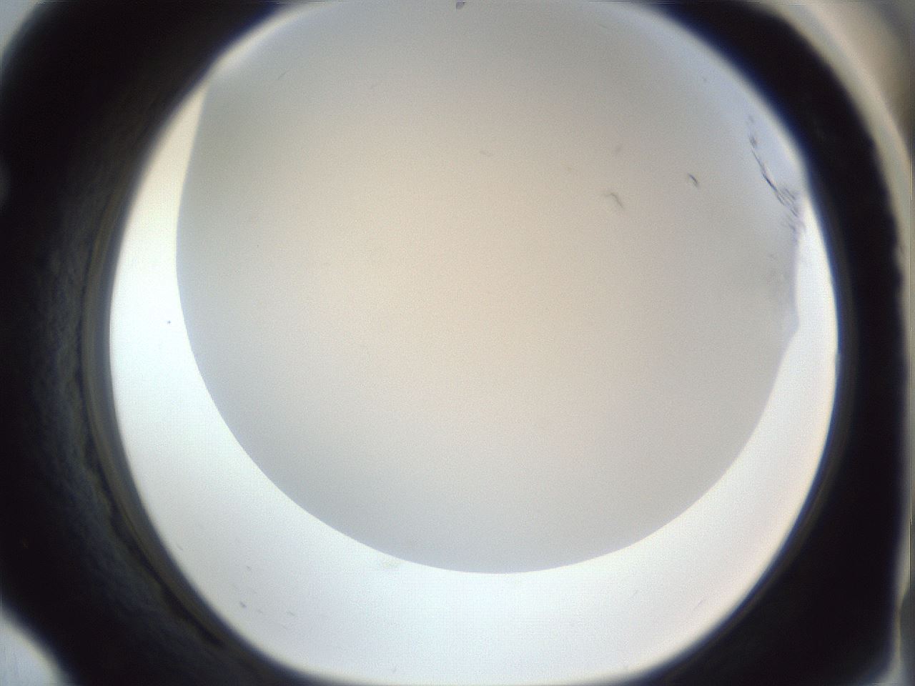 folderID216_plateID1216_batchID3850_wellNum68_profileID1_d1_r68230_ef.jpg