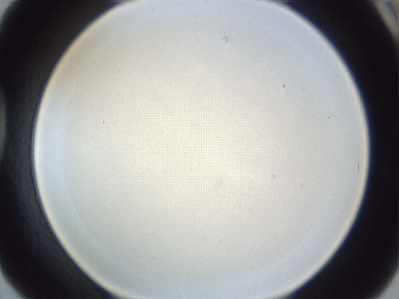 folderID216_plateID1216_batchID4433_wellNum42_profileID1_d1_r68178_ef.jpg