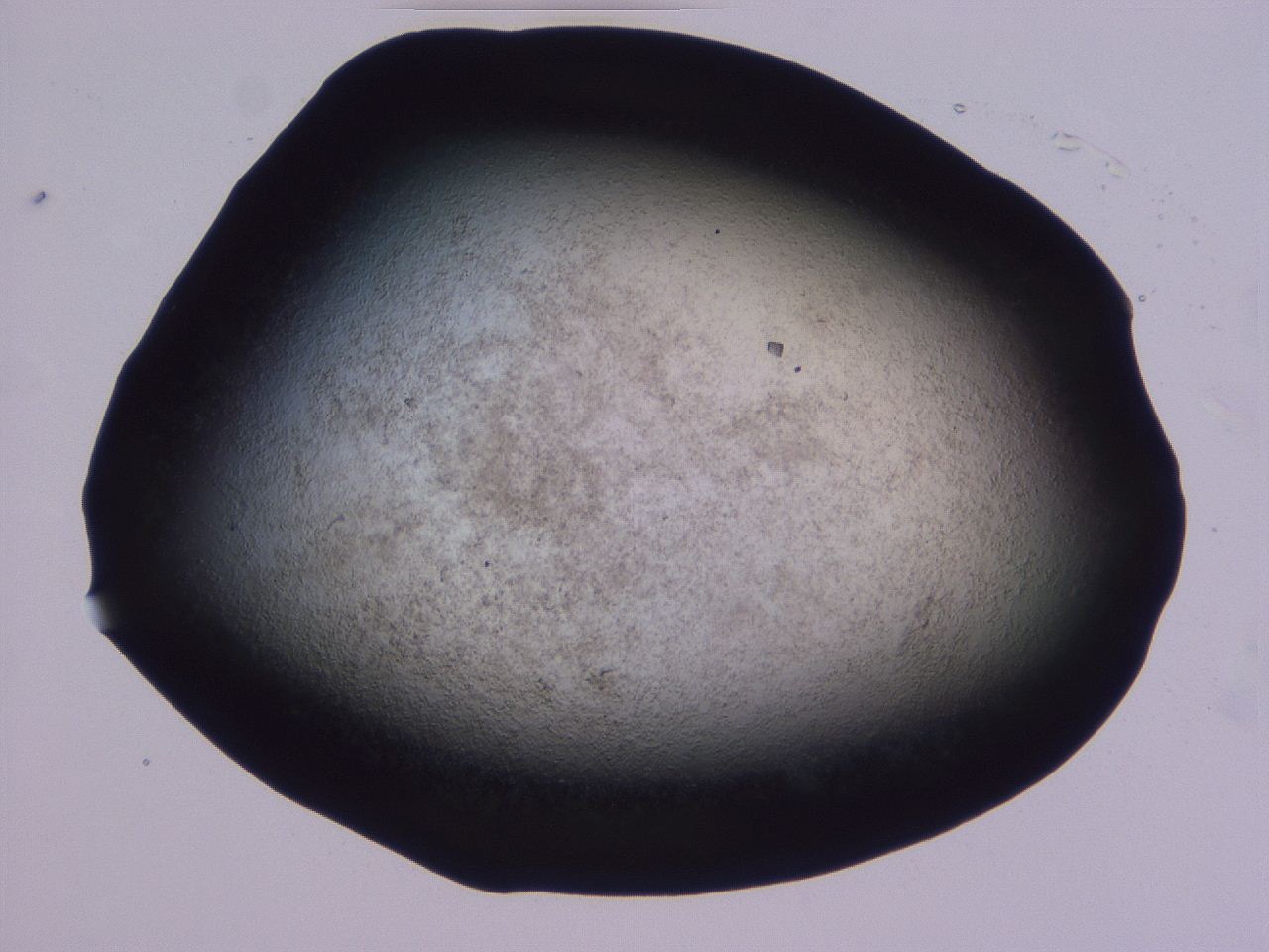 04ht_E12_ImagerDefaults_3.jpg