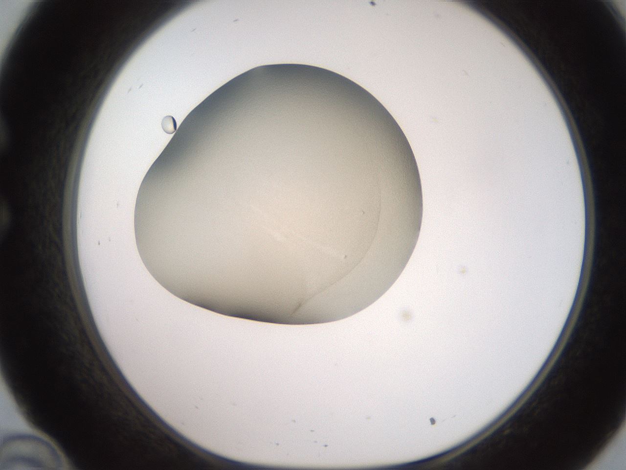 folderID234_plateID2234_batchID10223_wellNum34_profileID1_d1_r154396_ef.jpg