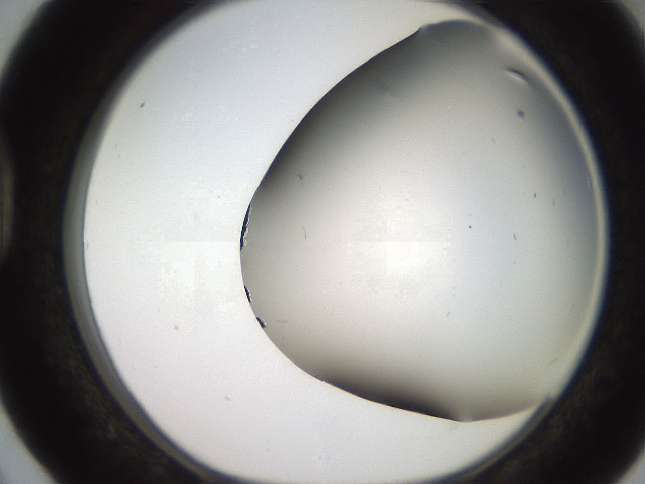 folderID235_plateID2235_batchID9946_wellNum40_profileID1_d1_r154498_ef.jpg