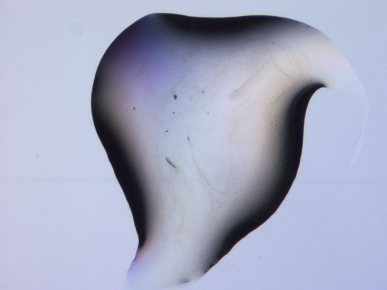 04ht_F6_ImagerDefaults_3.jpg