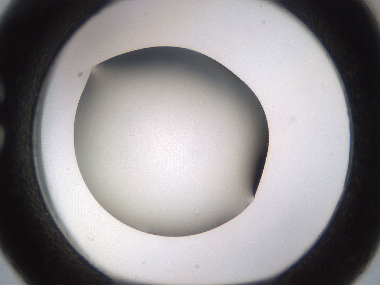 folderID236_plateID3236_batchID18165_wellNum26_profileID1_d1_r281872_ef.jpg