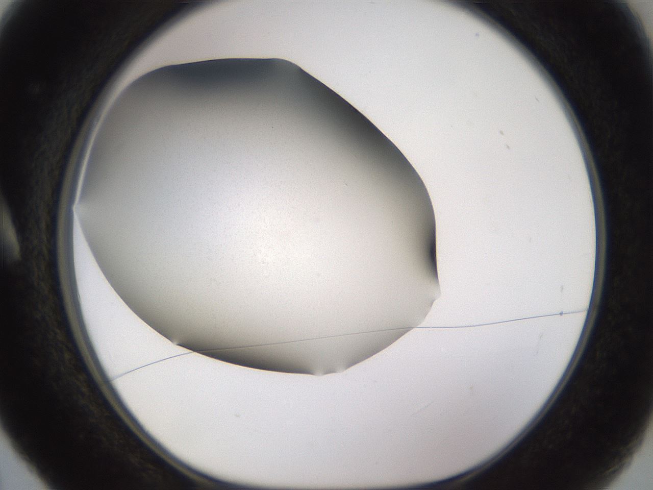 folderID236_plateID3236_batchID18340_wellNum5_profileID1_d1_r281830_ef.jpg