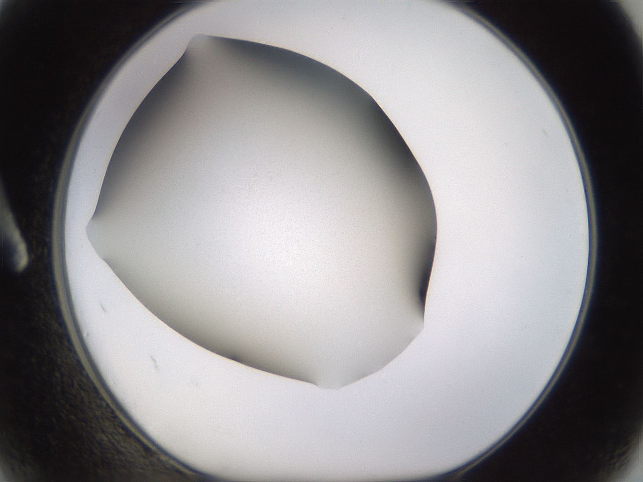 folderID236_plateID3236_batchID18388_wellNum2_profileID1_d1_r281824_ef.jpg