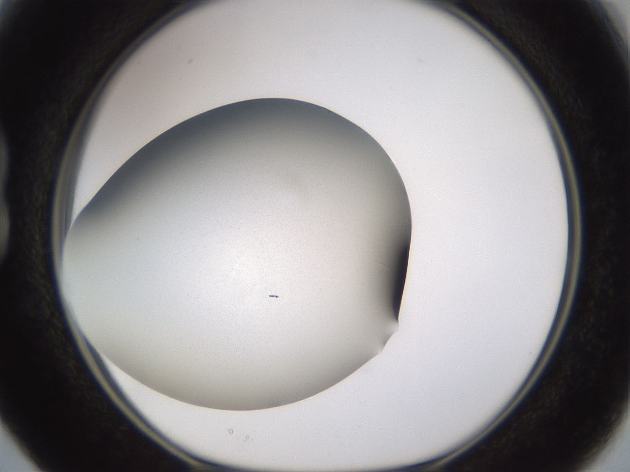 folderID236_plateID3236_batchID18916_wellNum15_profileID1_d1_r281850_ef.jpg