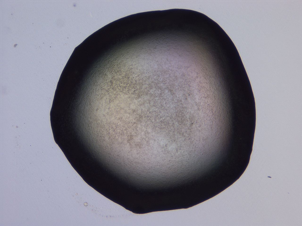 04ht_G12_ImagerDefaults_3.jpg