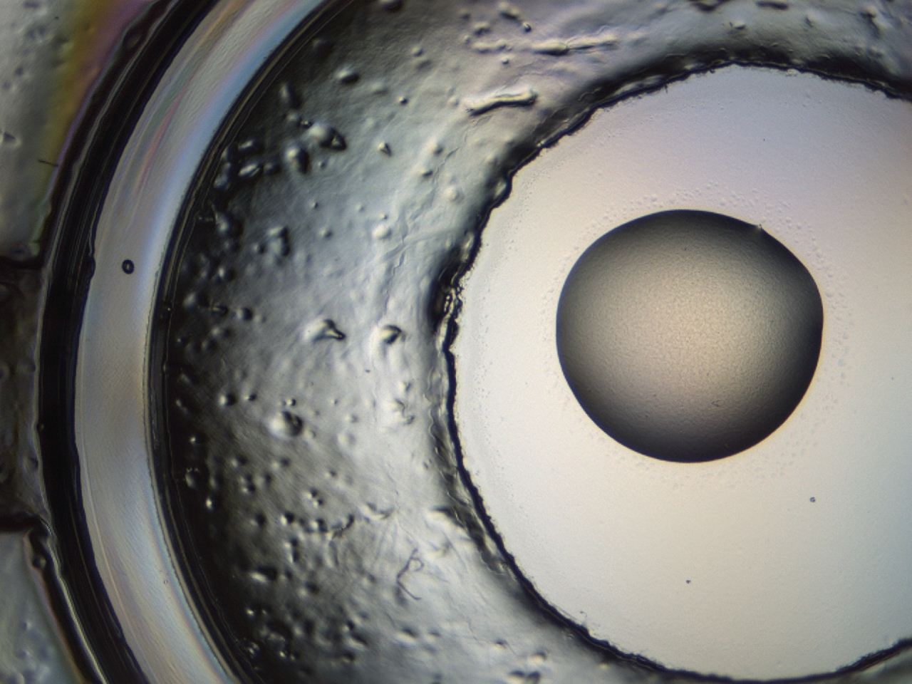 04hu_B10_ImagerDefaults_3.jpg