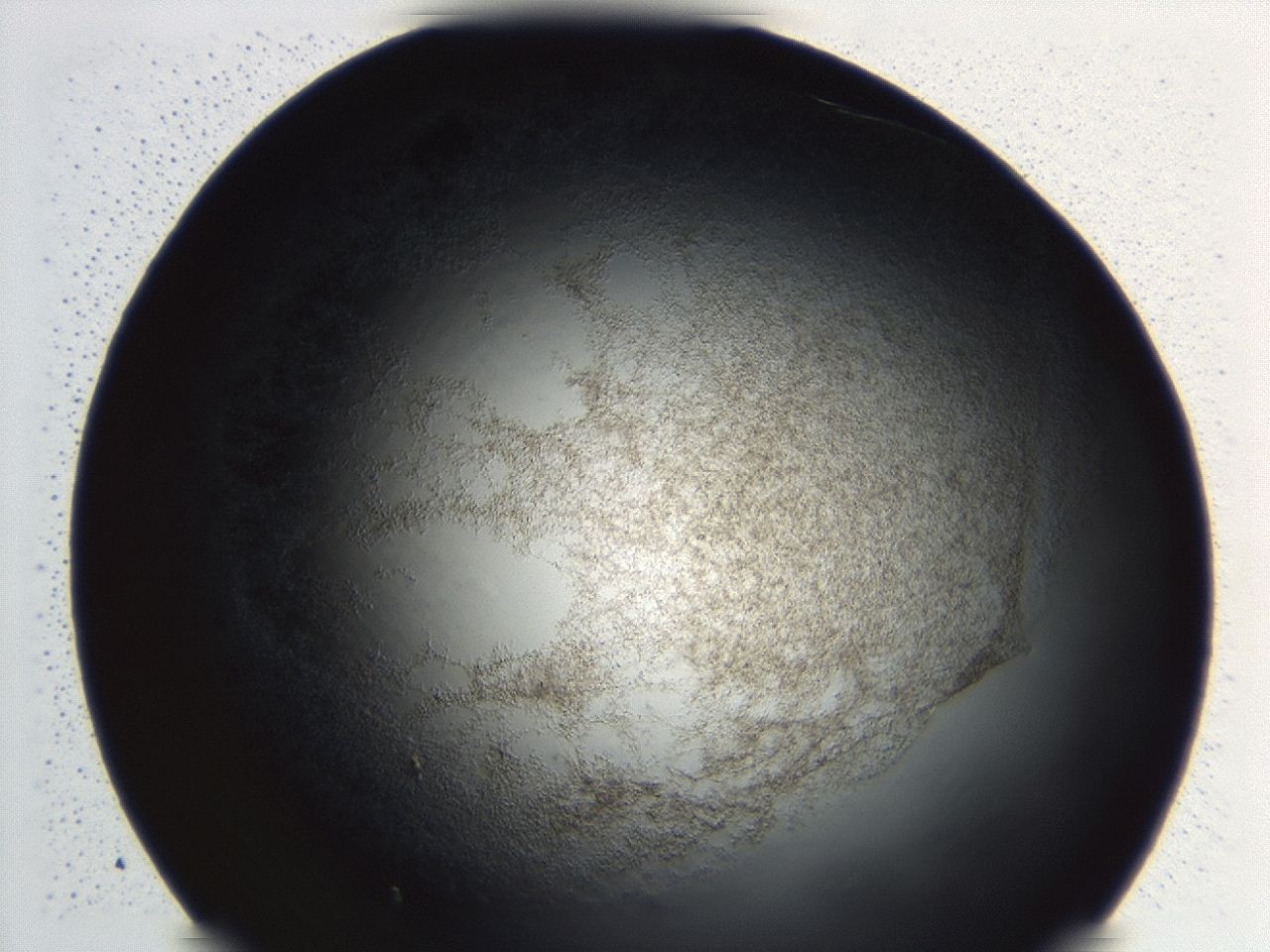 04hu_B11_ImagerDefaults_3.jpg