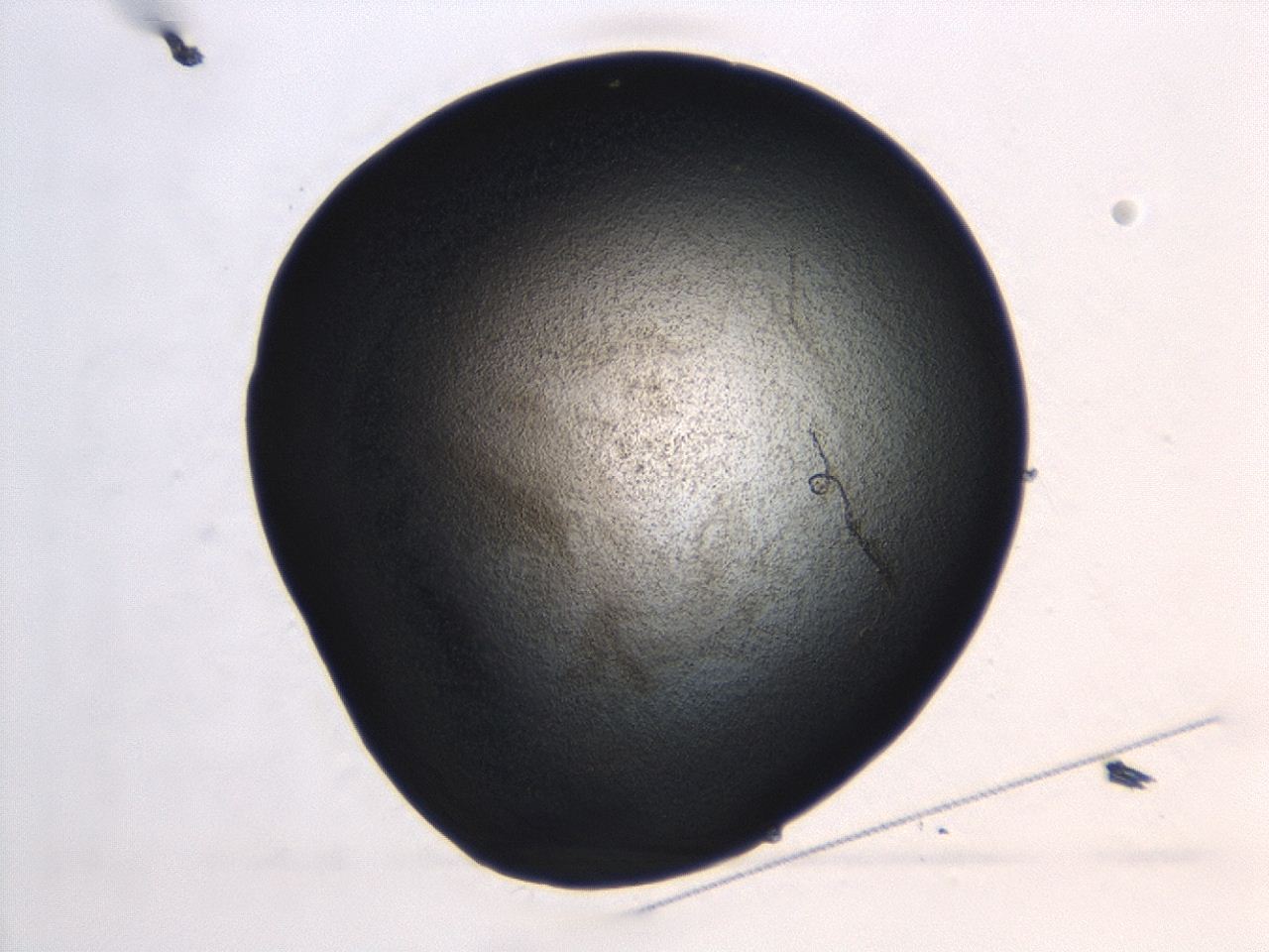 04hu_B5_ImagerDefaults_3.jpg
