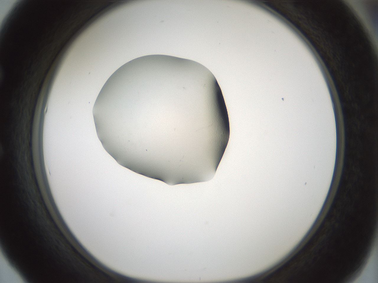 folderID239_plateID3239_batchID18588_wellNum53_profileID1_d1_r282987_ef.jpg