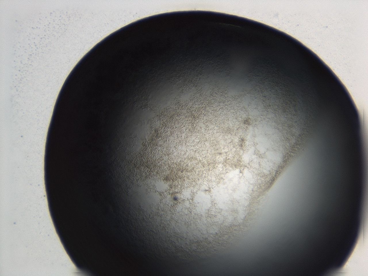 04hu_B12_ImagerDefaults_3.jpg