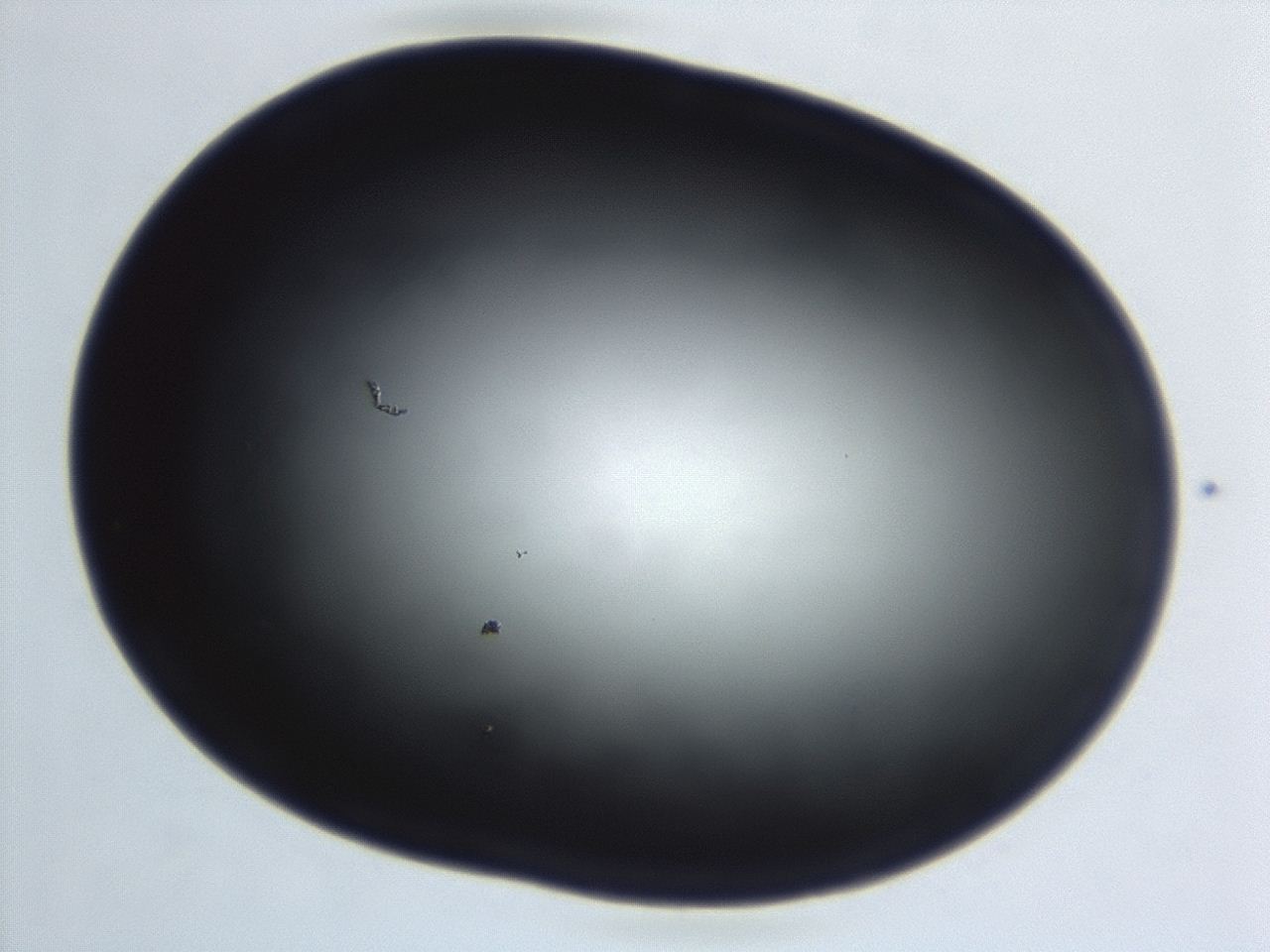 04hu_C1_ImagerDefaults_0.jpg