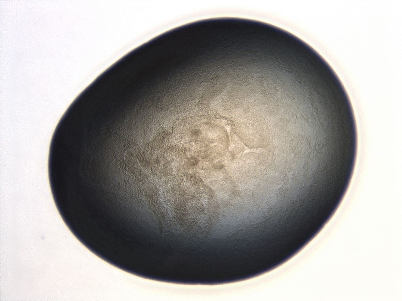 04hu_C2_ImagerDefaults_3.jpg