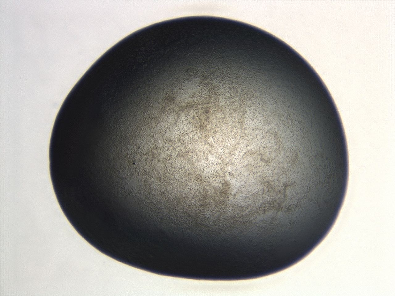 04hu_C3_ImagerDefaults_3.jpg