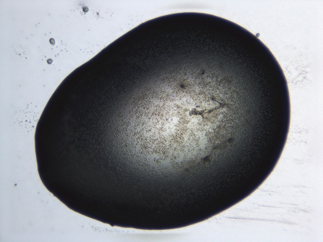 04hu_C5_ImagerDefaults_3.jpg