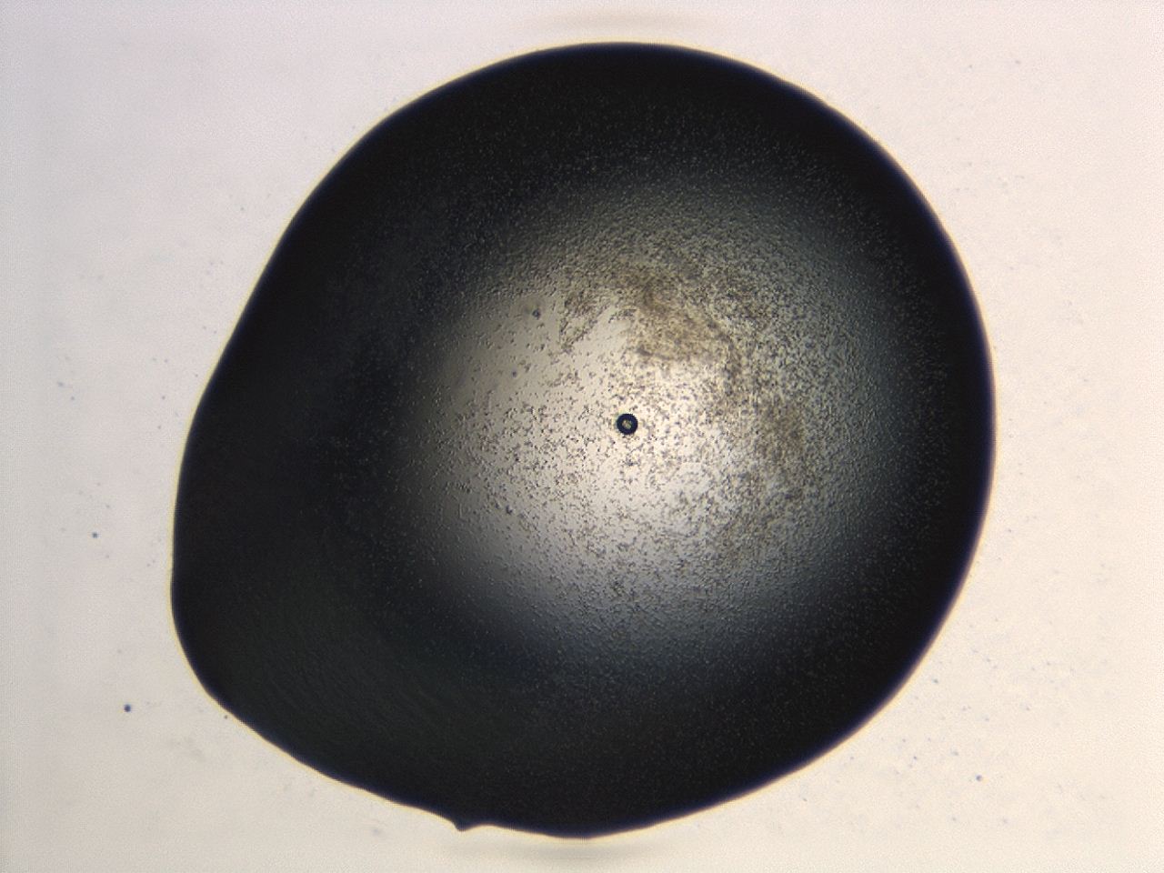 04hu_C6_ImagerDefaults_3.jpg