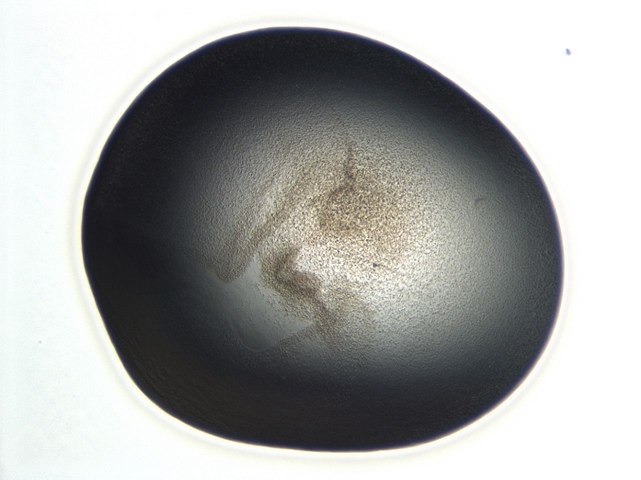 04hu_C8_ImagerDefaults_3.jpg
