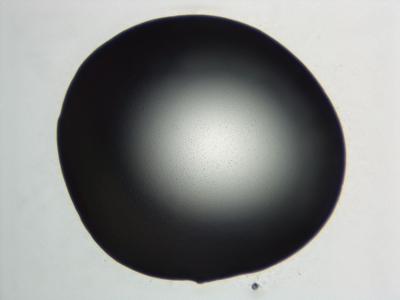 04hu_C9_ImagerDefaults_0.jpg