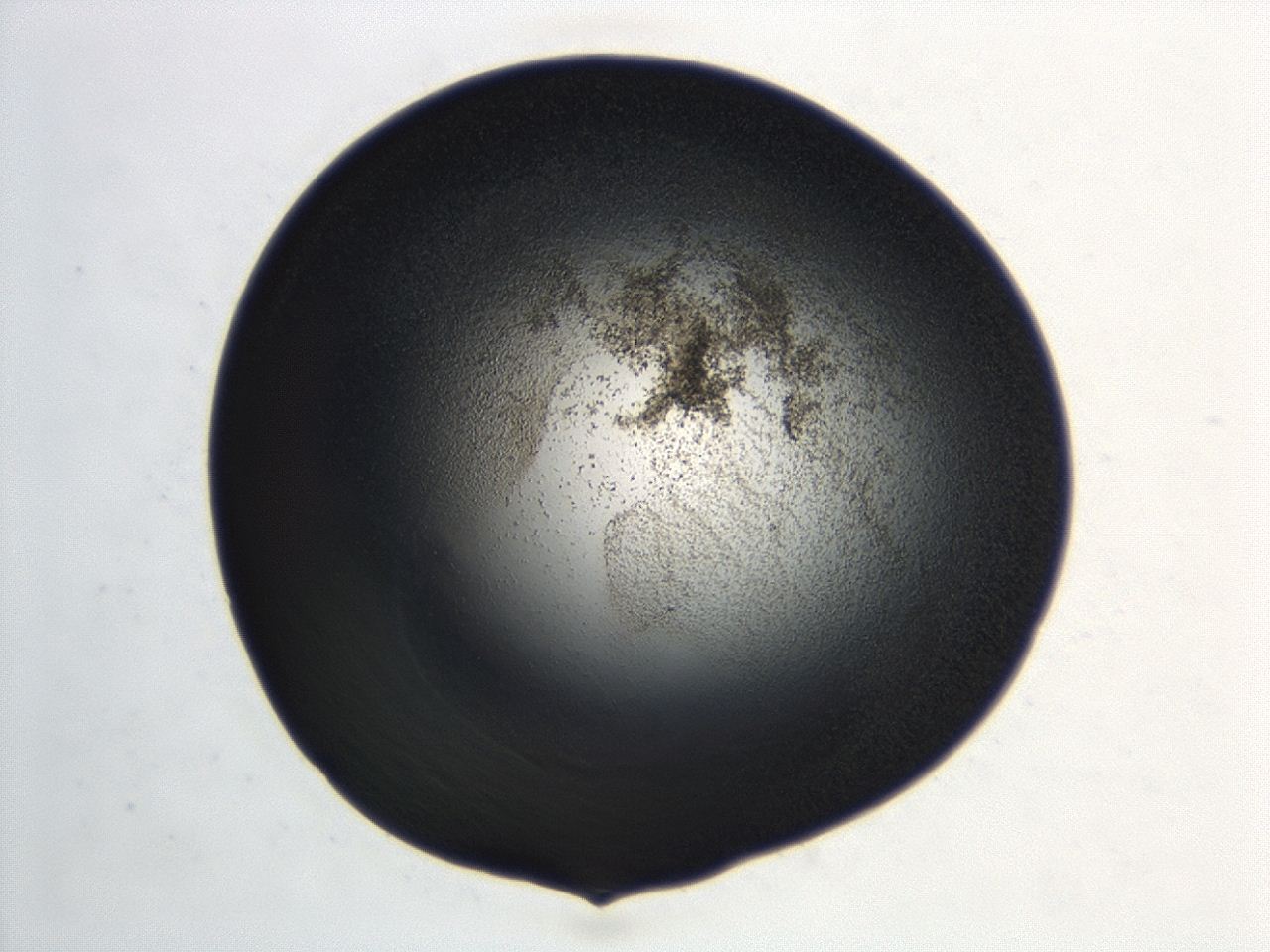 04hu_C11_ImagerDefaults_3.jpg
