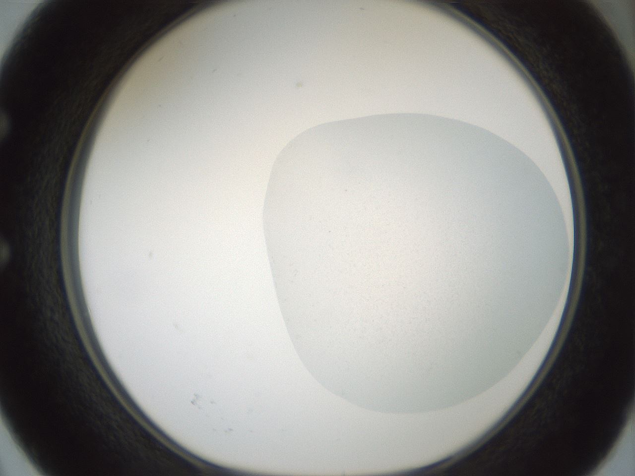 folderID240_plateID3240_batchID18257_wellNum50_profileID1_d1_r284901_ef.jpg