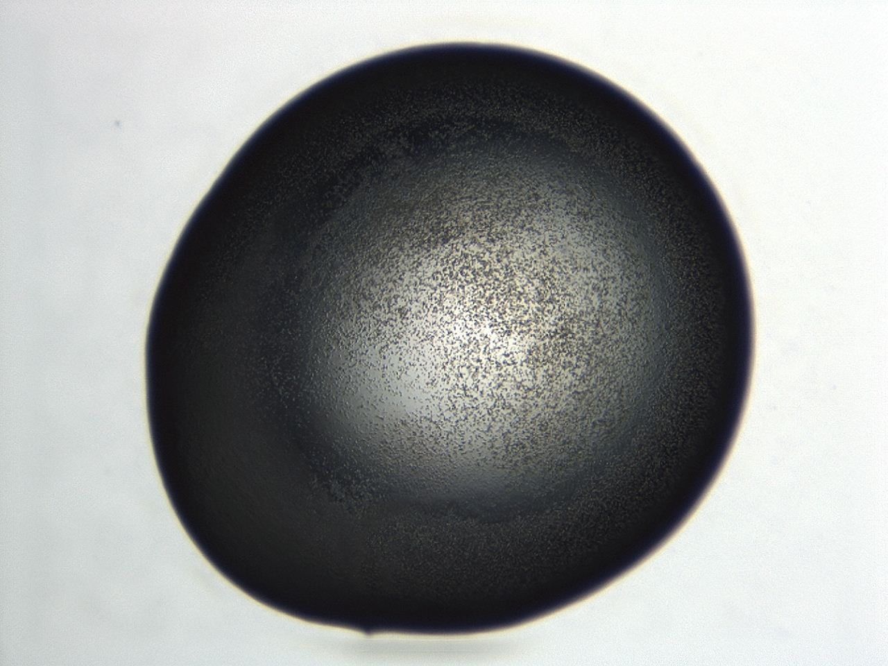 04hu_C12_ImagerDefaults_3.jpg