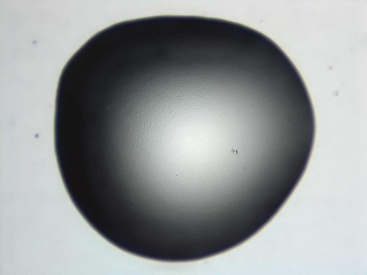 04hu_D1_ImagerDefaults_0.jpg