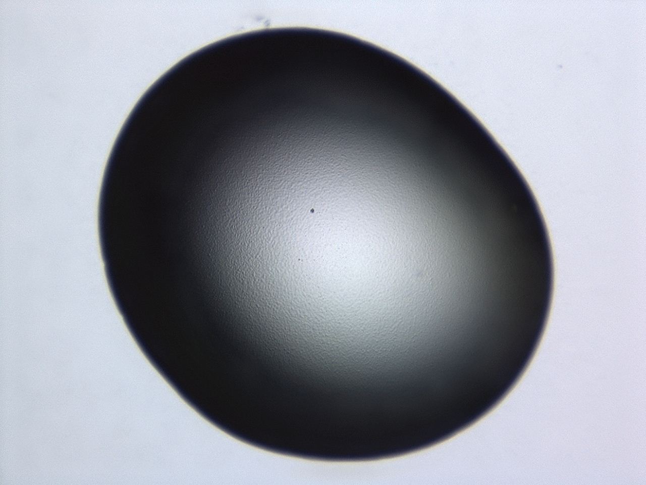 04hu_D2_ImagerDefaults_0.jpg