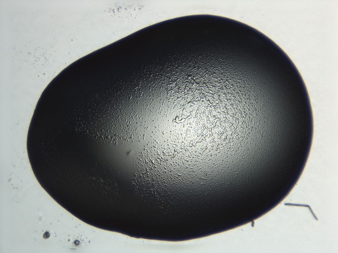 04hu_D5_ImagerDefaults_3.jpg