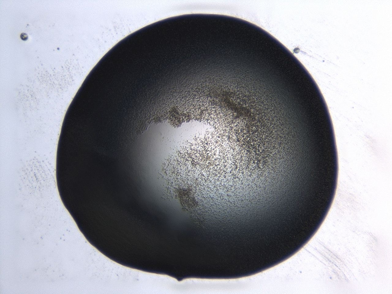 04hu_D6_ImagerDefaults_3.jpg