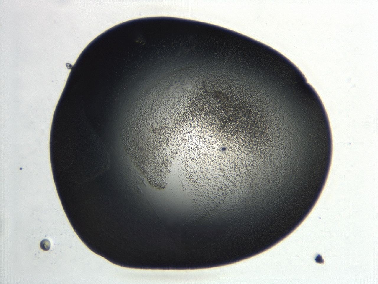 04hu_D9_ImagerDefaults_3.jpg