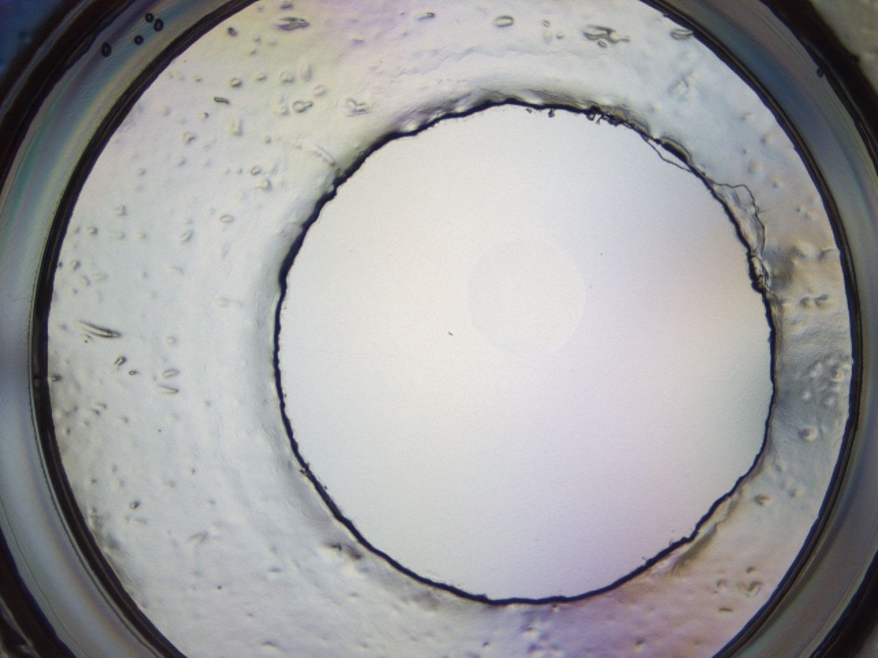 04hu_D11_ImagerDefaults_0.jpg