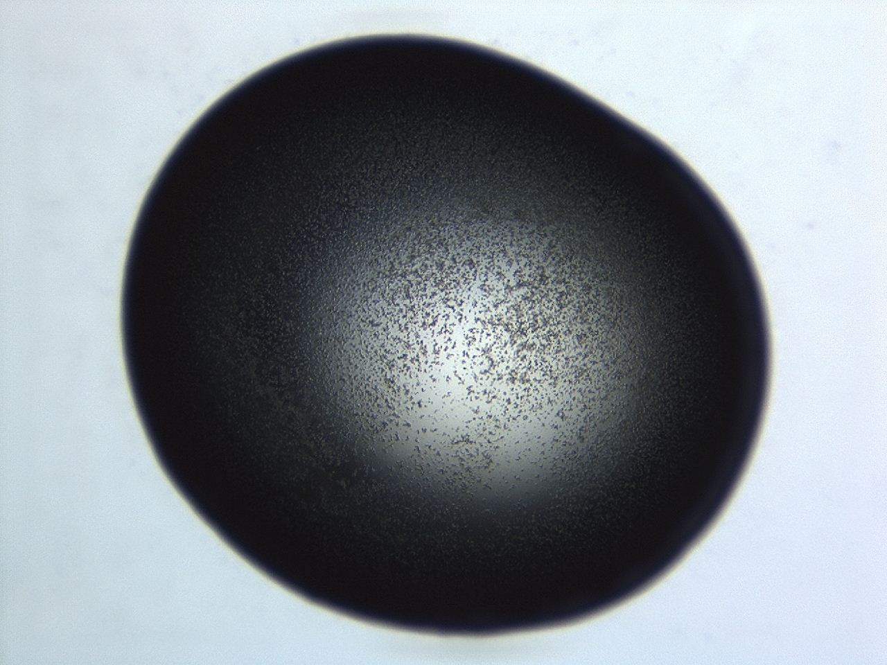 04hu_E2_ImagerDefaults_3.jpg