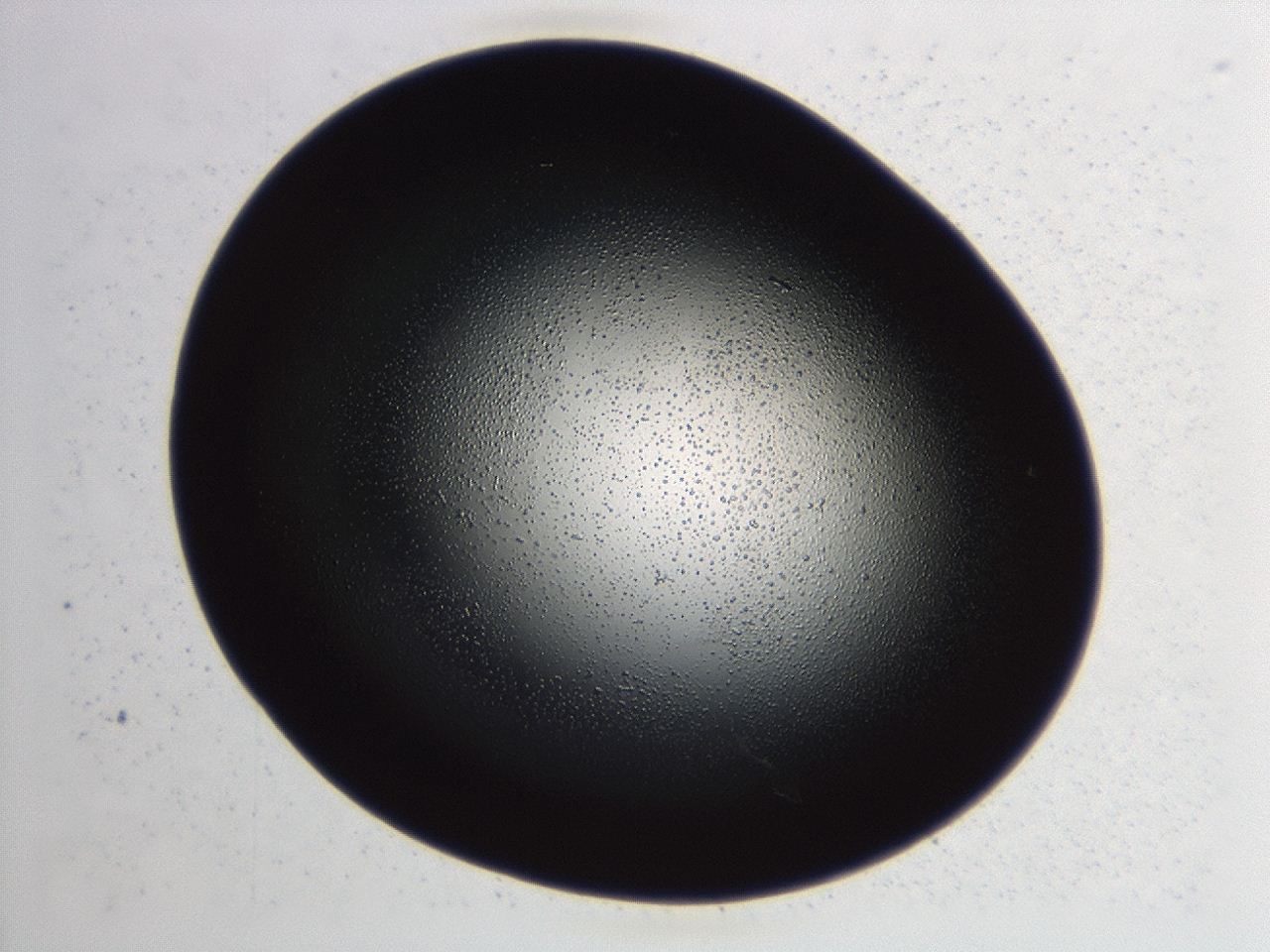 04hu_E4_ImagerDefaults_3.jpg