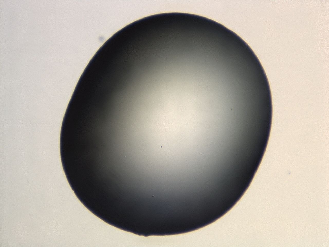04hu_B2_ImagerDefaults_0.jpg