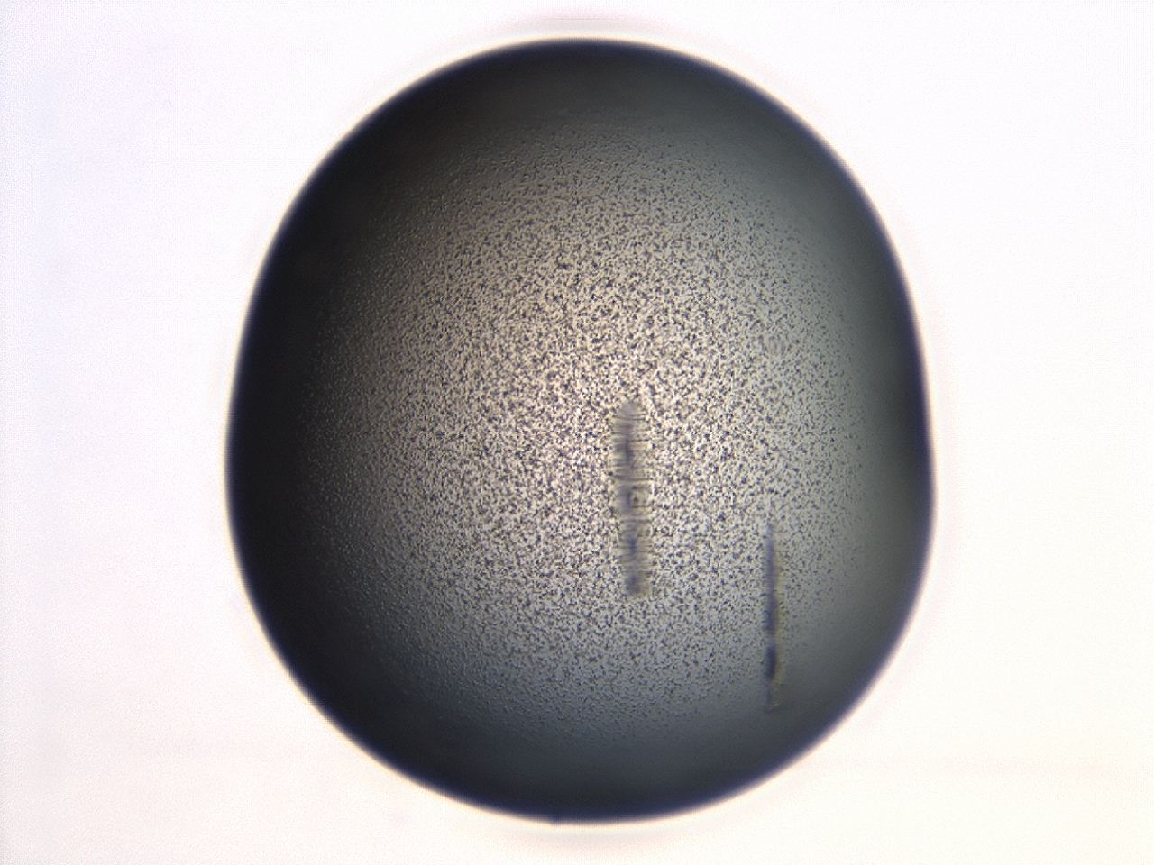 04hu_B1_ImagerDefaults_3.jpg