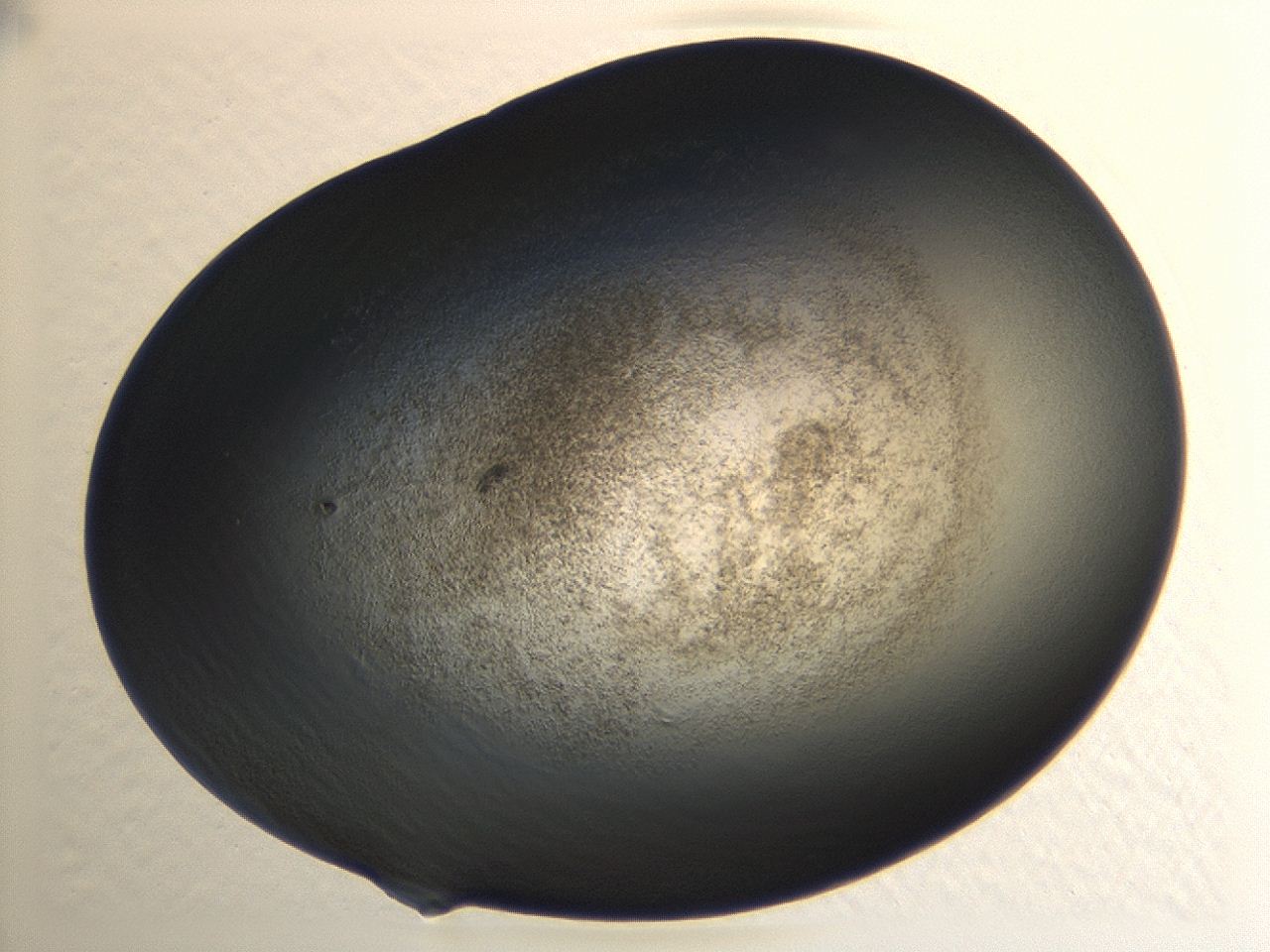 04hu_A10_ImagerDefaults_3.jpg