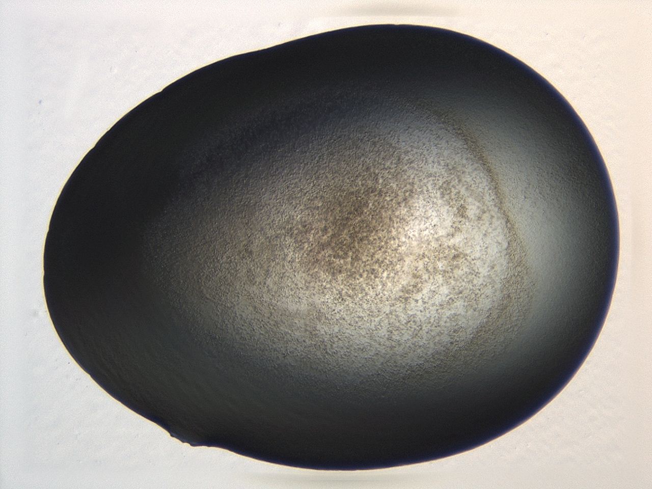 04hu_A9_ImagerDefaults_3.jpg
