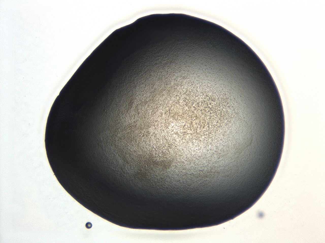 04hu_A8_ImagerDefaults_3.jpg