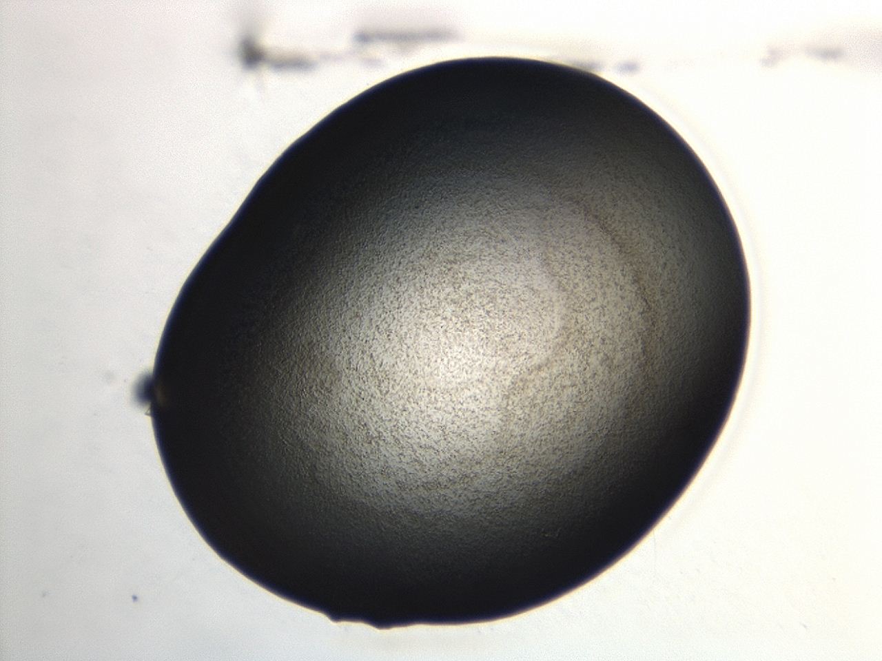 04hu_A6_ImagerDefaults_3.jpg