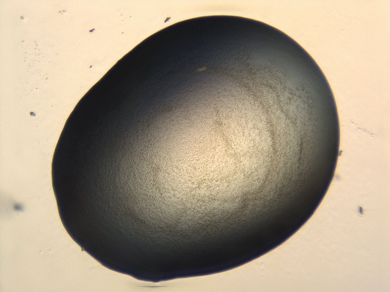 04hu_A5_ImagerDefaults_3.jpg