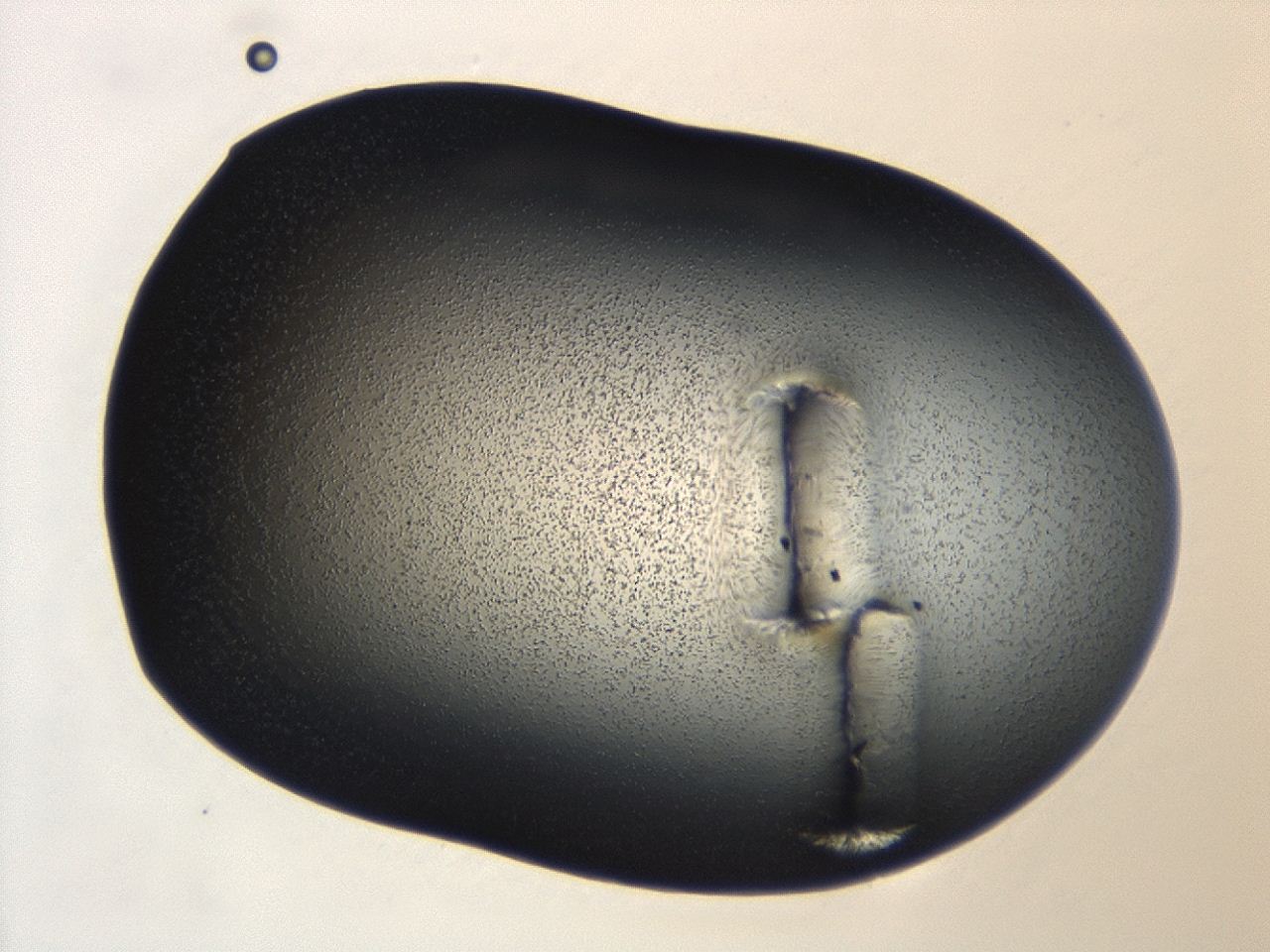 04hu_A1_ImagerDefaults_2.jpg