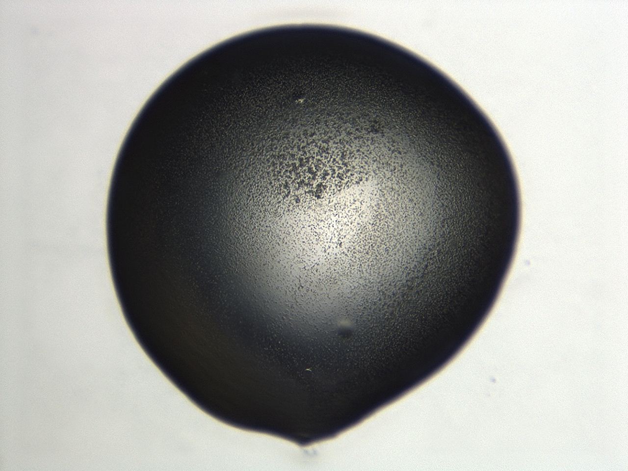 04hu_E11_ImagerDefaults_3.jpg