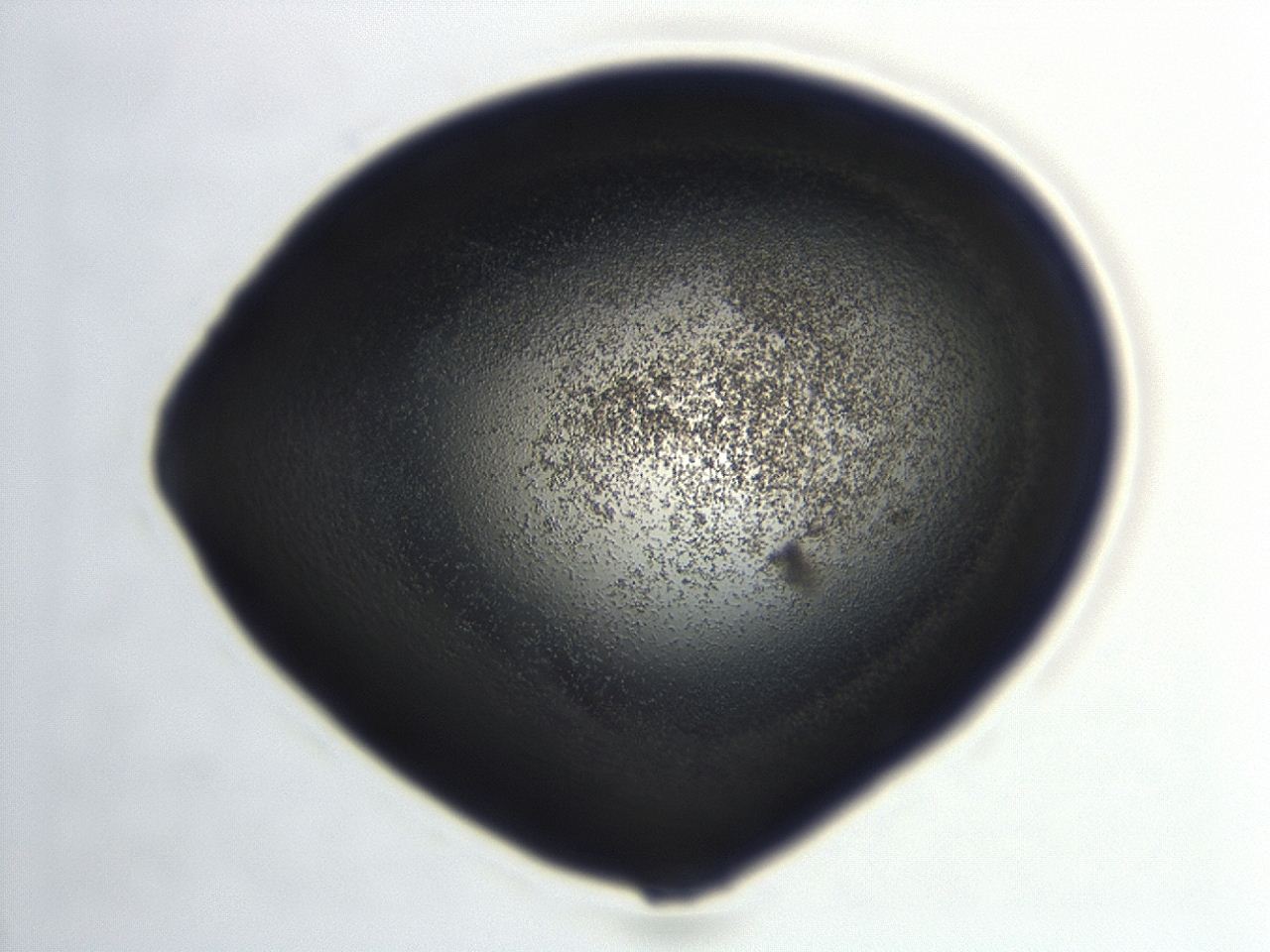04hu_E12_ImagerDefaults_3.jpg