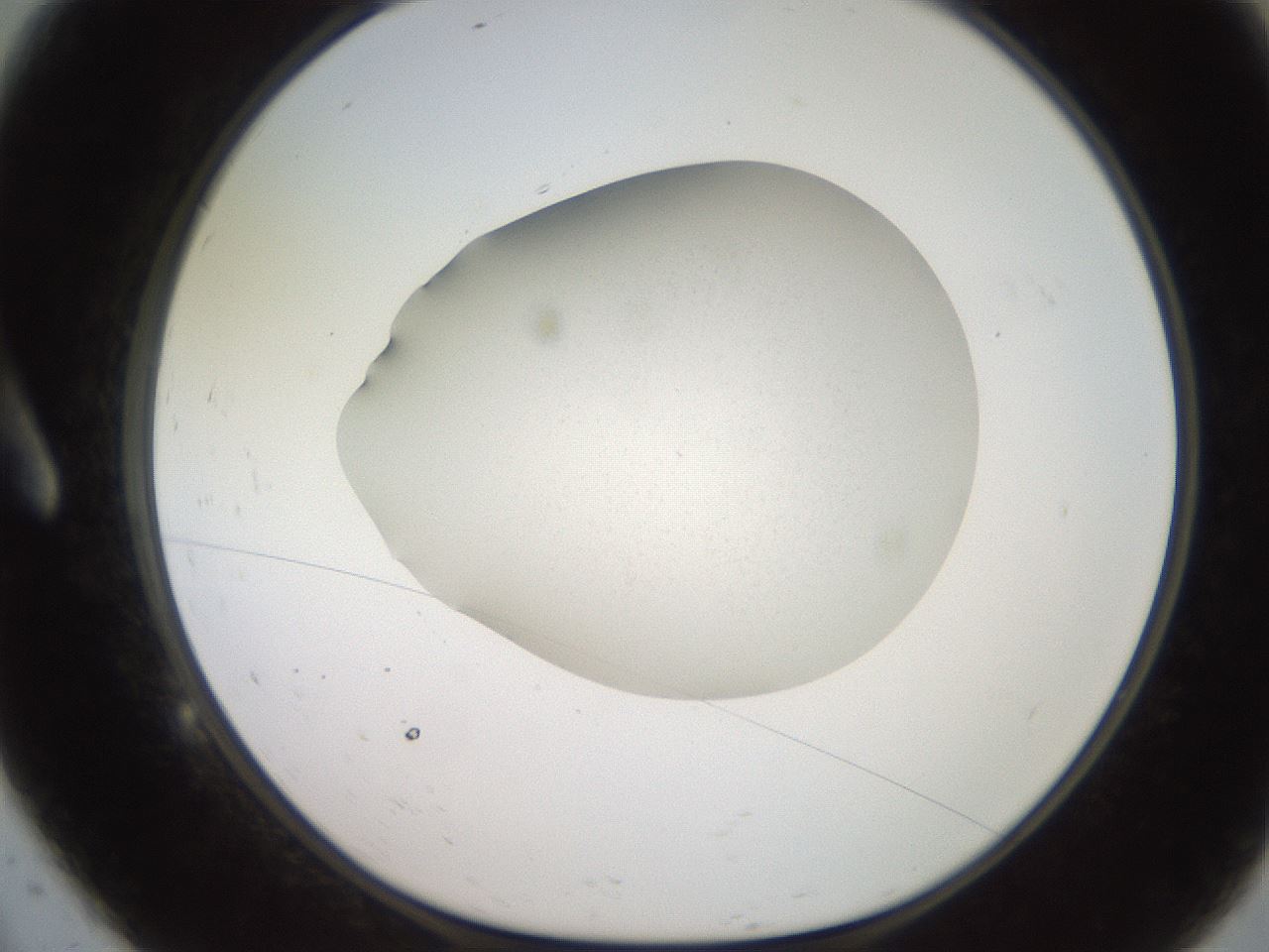 folderID247_plateID2247_batchID10212_wellNum9_profileID1_d1_r155083_ef.jpg