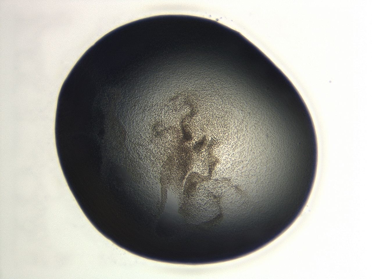 04hu_F3_ImagerDefaults_3.jpg
